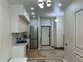 1-комнатная квартира · 32.3 м² · 2/3 этаж, Устирт 2936а2 за 24 млн ₸ в Иргели — фото 14