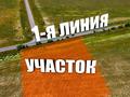 Жер телімі · 1 га, Жалқамыс, бағасы: 65 млн ₸ в Жалкамысе