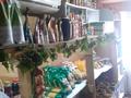 Готовый бизнес овощной магазин, 14 м², бағасы: 900 000 〒 в Караганде, Алихана Бокейханова р-н — фото 5