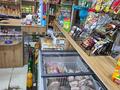 Магазины и бутики · 72 м² за 23 млн ₸ в Усть-Каменогорске — фото 3