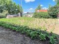 Отдельный дом · 5 комнат · 300 м² · 10 сот., Баубек батыр 13 — Возле Остановки. за 75.5 млн ₸ в Косшы — фото 33