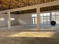 Свободное назначение, магазины и бутики · 550 м² за 150 млн ₸ в Таразе — фото 8
