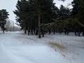 Свободное назначение · 5000 м² за 80 млн 〒 в Имантау — фото 8