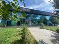 Свободное назначение · 55 м² за 440 000 ₸ в Таразе — фото 3