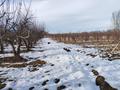 Участок · 1.6 га, ЛВМК — У подножия гор за 45 млн ₸ в Каракемер — фото 11