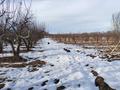 Участок · 1.6 га, ЛВМК — У подножия гор за 45 млн ₸ в Каракемер — фото 12