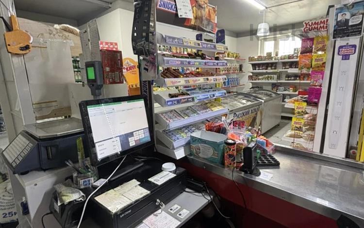 Минимаркет в топовой локации · 80 м², бағасы: 12.5 млн 〒 в Астане, Нура р-н — фото 21