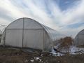 Участок · 12.5 га, Райымбек за 30 млн ₸ в  — фото 2