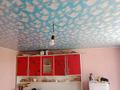 Отдельный дом · 6 комнат · 180 м² · 1815 сот., Балабекұлы Тоқтасын көшесі 37 — Нұсқабай за 18.5 млн 〒 в Асыкате — фото 29