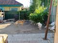 Жеке үй · 2 бөлме · 54 м² · 13 жүзд., 1я Мельничная 32, бағасы: 18 млн ₸ в Усть-Каменогорске — фото 4