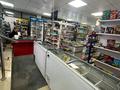 Магазины и бутики · 240 м² за 720 000 ₸ в Караганде, Алихана Бокейханова р-н — фото 3