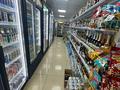 Магазины и бутики · 240 м² за 720 000 ₸ в Караганде, Алихана Бокейханова р-н — фото 5