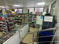 Магазины и бутики · 240 м² за 720 000 ₸ в Караганде, Алихана Бокейханова р-н — фото 6