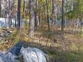 Участок · 20 соток, Санаторий Светлый 31К за 150 млн ₸ в Бурабае — фото 7
