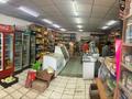 Магазины и бутики • 240 м² за 40 млн 〒 в Семее — фото 3