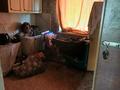 Отдельный дом · 4 комнаты · 80 м² · 6 сот., Титан 2/21 — Согра за 5.5 млн ₸ в Усть-Каменогорске — фото 7