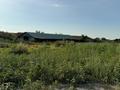 Участок · 6 соток, 220 — За Американской школой - за 4.5 млн ₸ в Кумтогане (Мирном) — фото 5