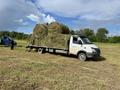 Жер телімі · 5.5 га, Ақжар, бағасы: 71.5 млн ₸ в Акжар — фото 15