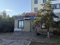 Свободное назначение · 1500 м² за ~ 5.3 млн ₸ в Астане, Алматы р-н — фото 2