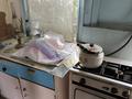 Дача · 3 комнаты · 40 м² · 12 сот., СО «Ковровая фабрика» за 9.5 млн ₸ в Кок-лай-сае — фото 7