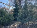 Отдельный дом · 2 комнаты · 120 м² · 9 сот., Амангелди 9а за 28 млн ₸ в Рыскулово — фото 2
