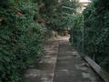Отдельный дом · 4 комнаты · 90 м² · 20 сот., Майлыкожа 73/4 — 2 Аптека за 20 млн ₸ в Арыси — фото 13