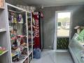 Жеке үй · 10 бөлме · 380 м² · 12 жүзд., Алматинская 30, бағасы: 60 млн ₸ в Кокшетау — фото 17