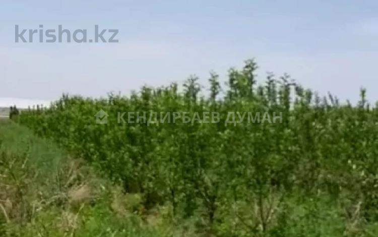 Фазенда и яблоневый сад за 50 млн 〒 в Каскелене — фото 5