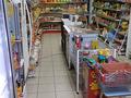 Магазины и бутики • 190 м² за 240 млн 〒 в Шымкенте, Туран р-н — фото 10