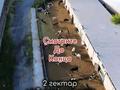 Свободное назначение, склады, сельское хозяйство · 20000 м² за 350 млн ₸ в Шымкенте — фото 29