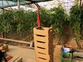 Свободное назначение, склады, сельское хозяйство · 20000 м² за 350 млн ₸ в Шымкенте — фото 6