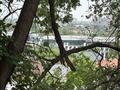 Жеке үй · 3 бөлме · 170 м², Ремизовка территория 97 — Ремизовка - Арайлы, бағасы: 550 000 ₸ в Алматы, Бостандыкский р-н — фото 14