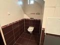 Отдельный дом · 5 комнат · 320 м² · 4 сот., Адилет 732А за 200 000 ₸ в Баскудуке — фото 7