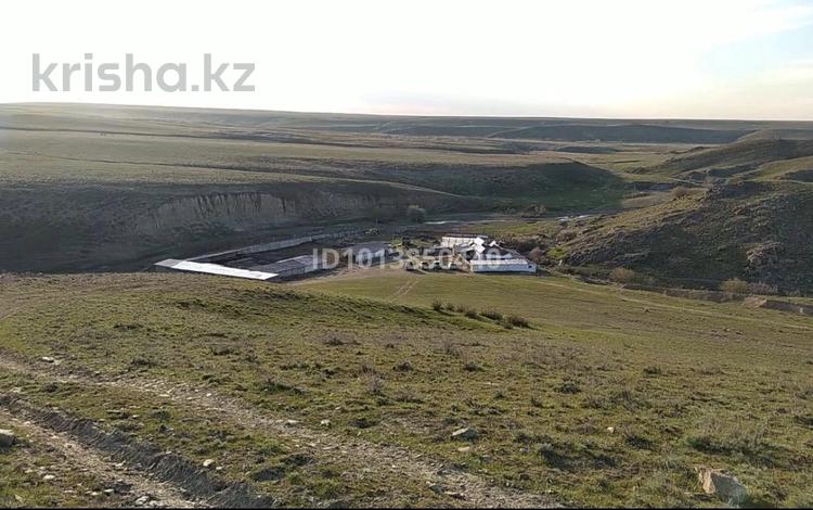 Участок · 1650 га, Молалы за ~ 60 млн ₸ — фото 2