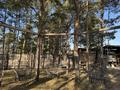 Жер телімі · 34 сотық, Луговая-12 15,6,8, бағасы: 30 млн ₸ в Кокшетау — фото 8