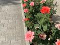 2-бөлмелі пәтер · 60 м² · 1/3 қабат, Жилгородок — Азаттык, бағасы: 25 млн ₸ в Атырау, мкр Жилгородок — фото 2