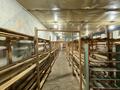 Склады · 180 м² за 700 000 ₸ в Шымкенте, Енбекшинский р-н — фото 3