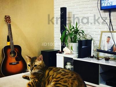 4-комнатная квартира · 78.5 м² · 2/3 этаж, Алии Молдагуловой 61 — Кафе «Камышок» за 20 млн ₸ в Экибастузе