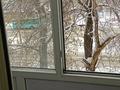 2-бөлмелі пәтер · 45 м² · 3/5 қабат, Республика 41, бағасы: 10.3 млн ₸ в Темиртау — фото 11