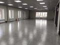 Свободное назначение, офисы, магазины и бутики · 186 м² за 837 000 ₸ в Караганде, Казыбек би р-н — фото 8