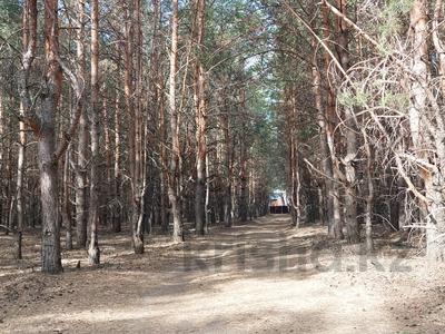Участок · 36 соток, ДО Куйбышевец за 4 млн ₸ в Белом