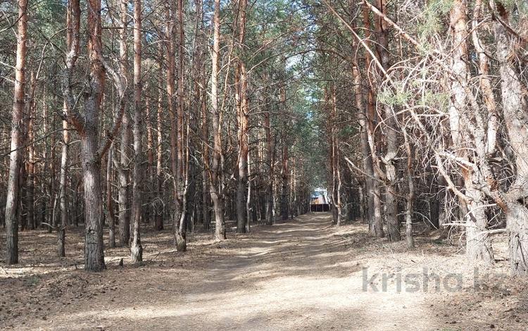 Участок · 36 соток, ДО Куйбышевец за 4 млн ₸ в Белом — фото 24