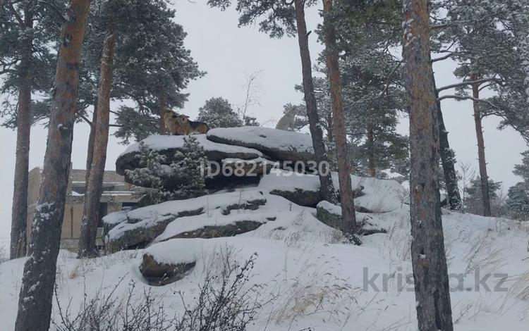 Отдельный дом · 6 комнат · 225 м² · 15.5 сот., ул. Абая за 90 млн ₸ в Бурабае — фото 27