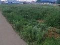 Участок · 16 соток, Байшешек 22 за 69 млн ₸ в Астане, Сарайшык р-н