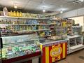 Магазины и бутики • 50 м² за 200 000 〒 в Павлодаре — фото 4
