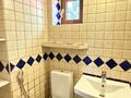 Жеке үй · 6 бөлме · 200 м² · 10 жүзд., Байтурсынова 176, бағасы: 2.3 млн ₸ в Алматы, Медеуский р-н — фото 58