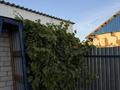Дача · 2 комнаты · 52 м² · 5.84 сот., Поселок Восточный правый 4687 — Поселок Восточный правый за 7.5 млн ₸ в Семее — фото 23