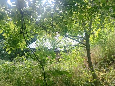 Дача · 2 комнаты · 12 м² · 8 сот., мкр Кенсай 12 — Мустафа Шокай-ДП Статистик за 5.5 млн 〒 в Алматы, Медеуский р-н