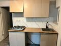 Отдельный дом · 2 комнаты · 40 м² · 8 сот., Байсеитова 2 за 150 000 ₸ в  — фото 6