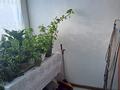 Отдельный дом · 3 комнаты · 80 м² · 10 сот., Звездная 347 за 20 млн ₸ в Усть-Каменогорске, Ахмирово — фото 8